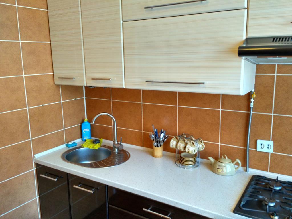 Двокімнатна Квартира В Ценрі Міста На Ерусалимці Поруч З Фонтаном Рошен ヴィーンヌィツャ エクステリア 写真